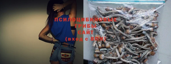 МДПВ Ладушкин