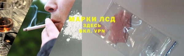 крисы Лабытнанги
