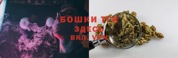 крисы Лабытнанги