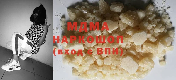 индика Краснослободск